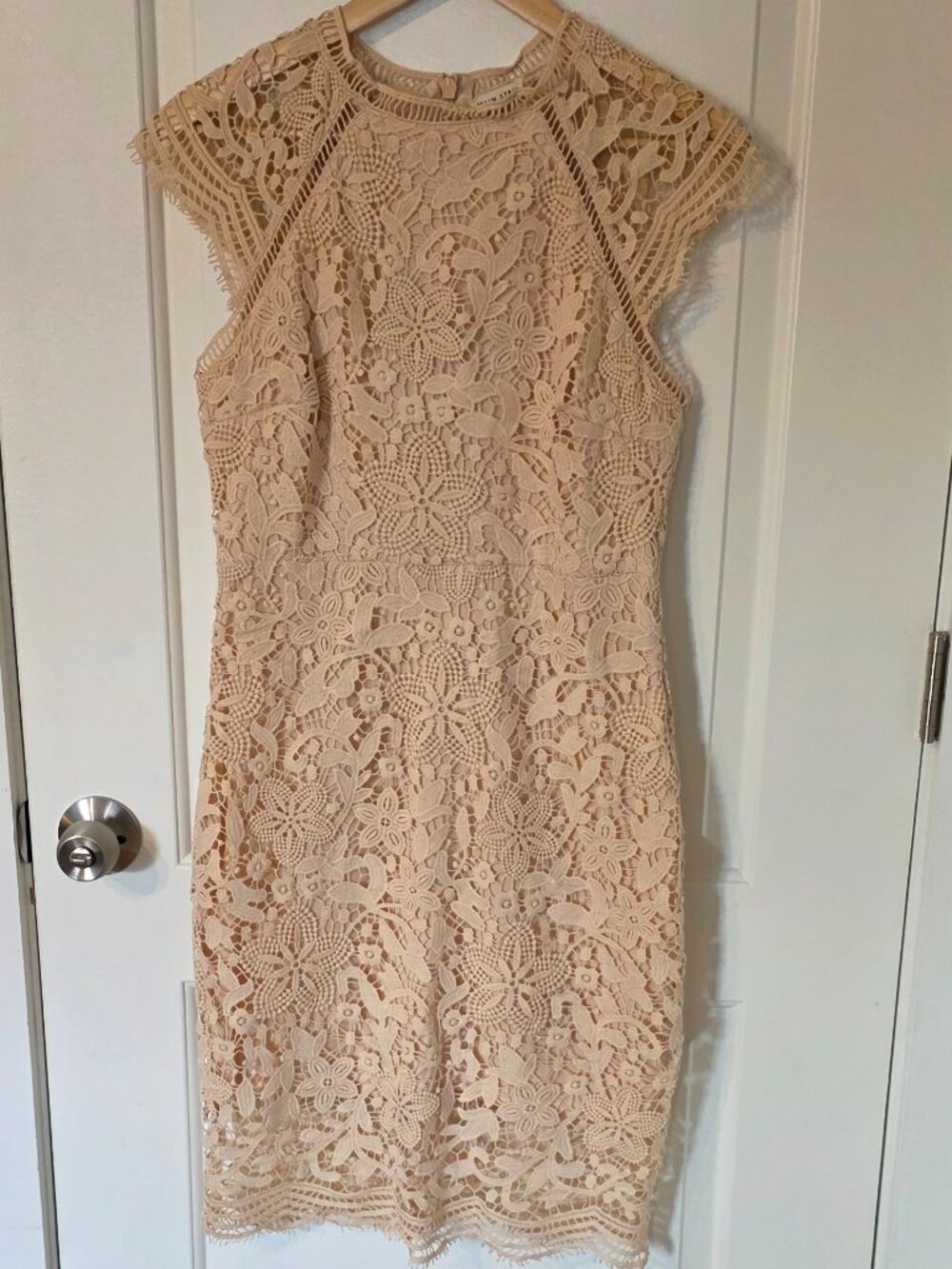 Main Strip Cap-Sleeve Crochet Lace Sheath Dress - Light Pink Nude